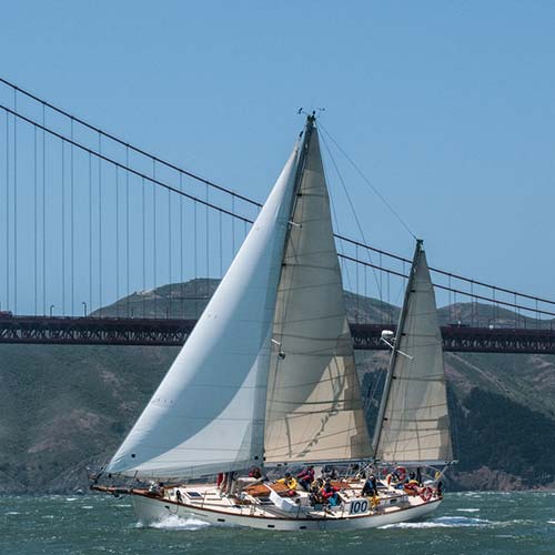 Pegasus sails near the Golden Gate Bridge